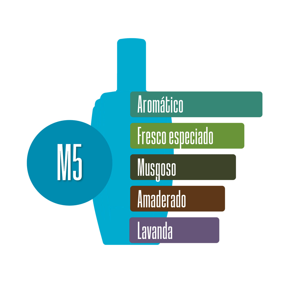 M5
