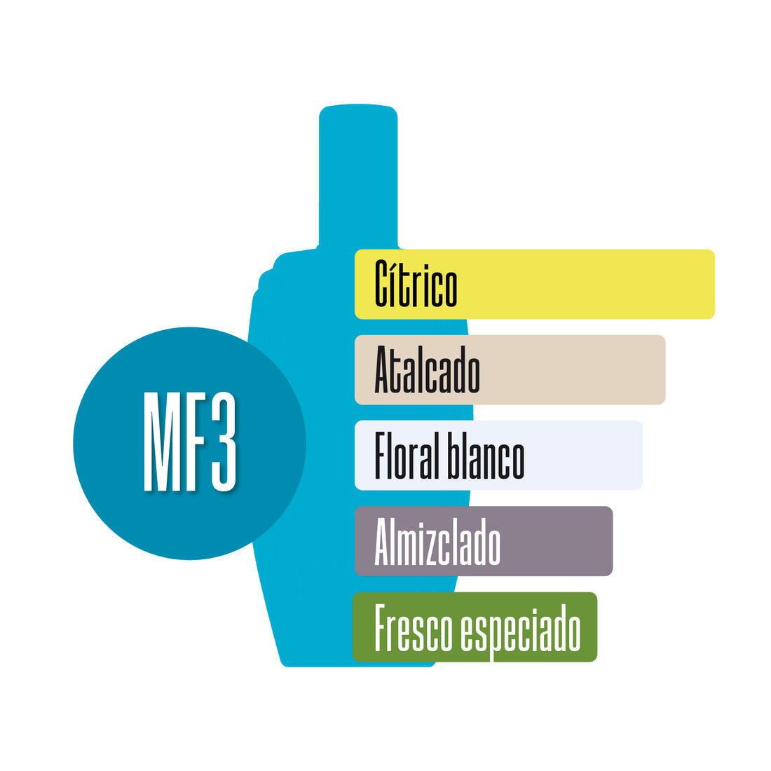 MF3